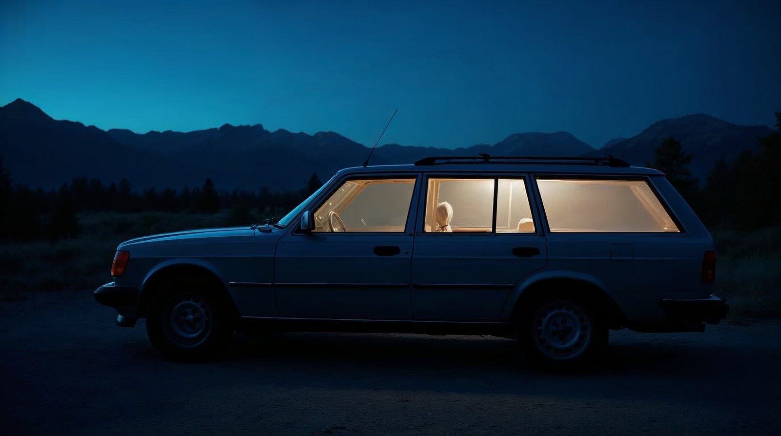 車の全窓にBONARCAの遮光カーテンが取り付けられた様子。外から車内がまったく見えなくなっている